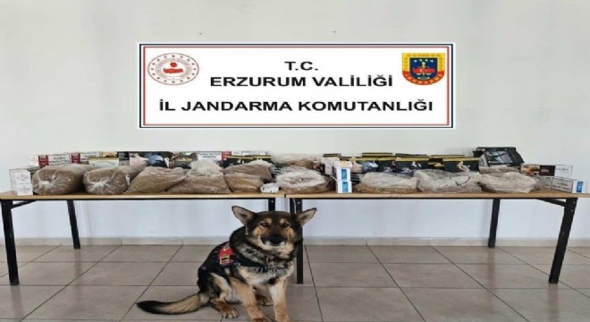 Jandarma'dan kaçak tütün operasyonu