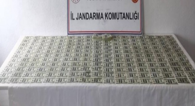 Jandarmadan sahte dolar operasyonu