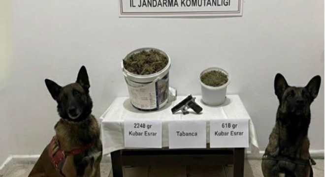 Jandarmadan uyuşturucu operasyonu