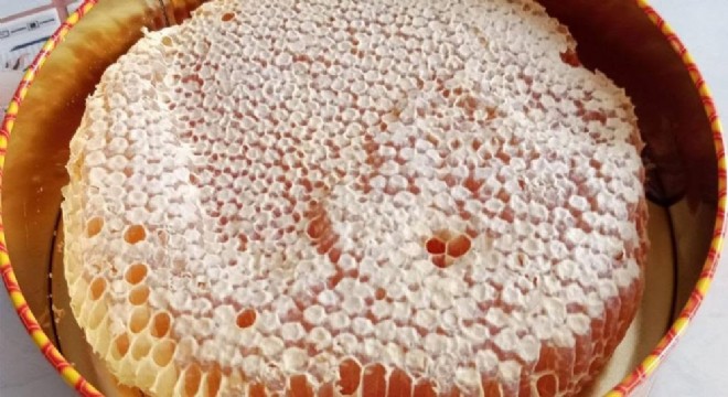 KUDAKA 'Bayburt Bal Atlası' projesine teknik destek verecek