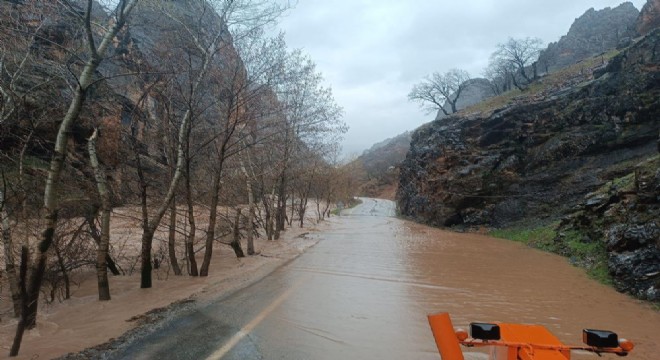Munzur Nehri taştı