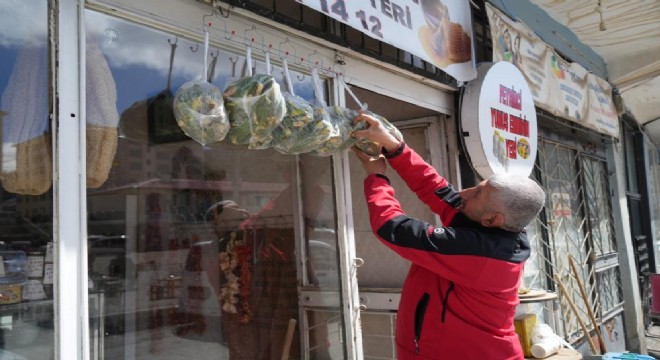 Muş’ta askıda çiriş otu uygulaması