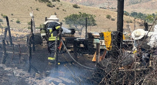 Oltu İriağaç'ta anız yangını