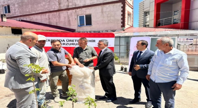 Pazaryolu'nda meyve üreticilerine destek