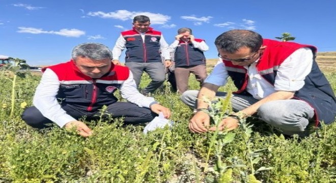 Tohumlar toprakla buluştu, ekipler sahaya indi