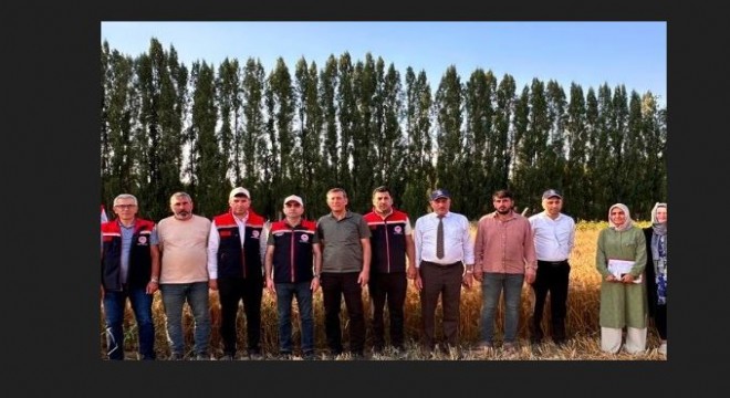 Yerli tohum 'Parla' Erzurum'un kışına meydan okuyor