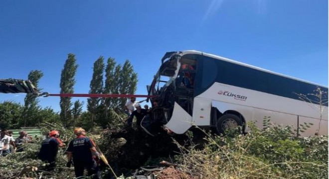 Yolcu otobüsü ağaca çıktı: 2 yaralı