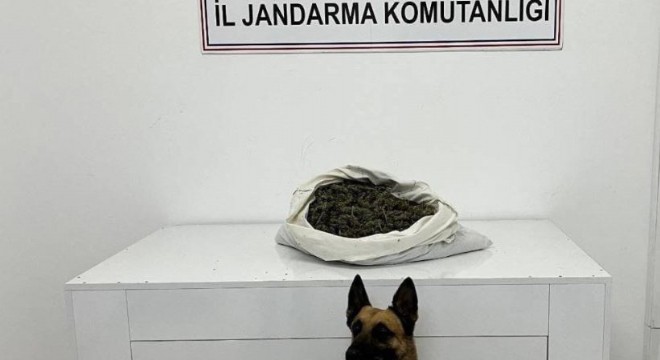 Zehir tacirlerine geçit yok