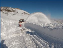 Erzurum dondu: -31