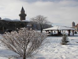 Erzurum buz tuttu 