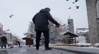 Doğu’da kar yağışı devam ediyor