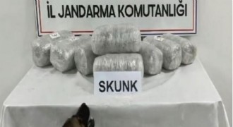 10 kilogram skunk ele geçirildi, 1 şüpheli tutuklandı