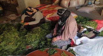 Analar kışlık erzak seferberliğinde