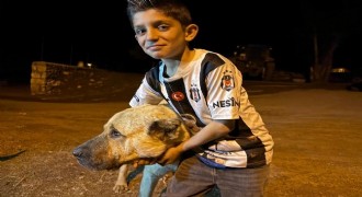 Ayıların saldırısına uğrayan çocuğu çoban köpeği kurtardı
