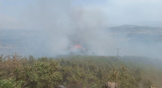 Bingöl'deki orman yangını kontrol altına alındı