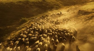 Doğu’da geleneksel besicilik kültürü yaşatılıyor
