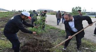 Erzurum GSİM'den Milli Ağaçlandırma Projesi