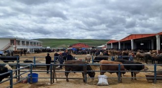Erzurum’da kurban pazarı hareketlendi