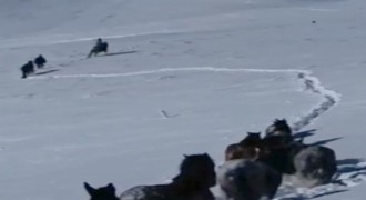 Güvenlik korucularından doğal yaşam hassasiyeti