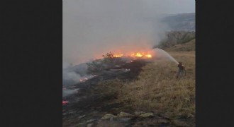 İspir'de orman yangını