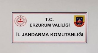 Jandarmadan siber suç operasyonu