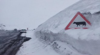 Kar kalınlığı tabela boyunu geçti