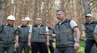 Karakurt'tan Palandöken Ormanları bilgilendirmesi