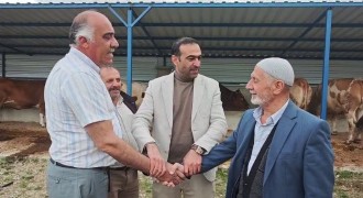 Kurbanlık pazarlarında hareketlilik başladı