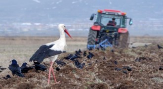 Meteorolojiden zirai don uyarısı