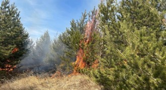 Sarıkamış ormanlarında örtü yangını
