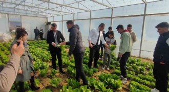 Tarımsal girdi fiyatları yıllık yüzde 31,55 arttı