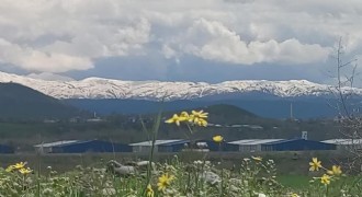 Tek karede iki mevsim