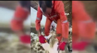 Üretim var, pazar yok