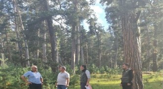 Valilikten orman yangınlarına karşı önlemler
