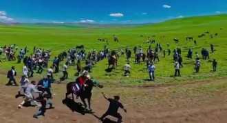 Yarış atına şiddete soruşturma