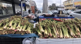 Yayla muzu tezgâhlarda