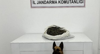 Zehir tacirlerine geçit yok